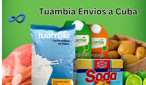 Tuambia Envios: Empowering Logistics Solutions for Businesses